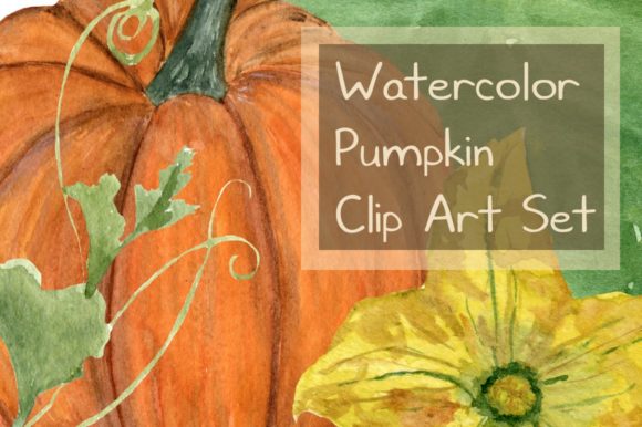 15 Watercolor Pumpkin Clip Art Set Review