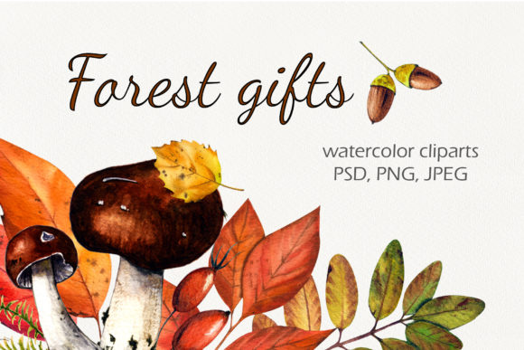 Forest Gifts Watercolor Set Freebies Review