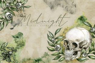 Midnight Watercolor Illustration Review