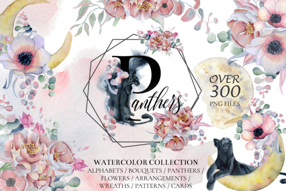 Panthers Floral Watercolor Illustrations