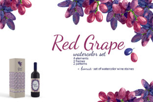 Red Grape Watercolor Illustrations Review