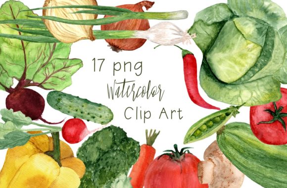 Reviewing 17 Watercolor Vegetables Clip Art