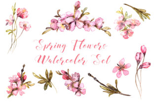 Spring Flowers Watercolor Set Illustrations