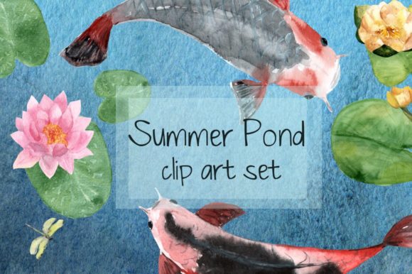 Summer Pond Watercolor Illustrations Review