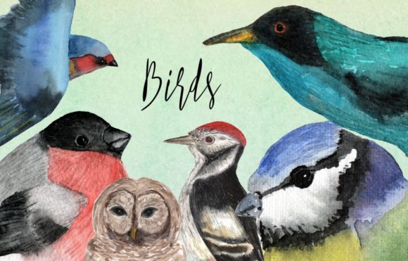 Watercolor Birds Clip Art & Illustrations Review