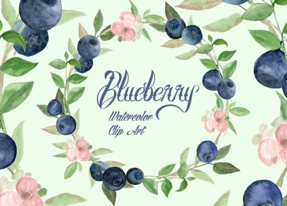 Watercolor Blueberries Clip Art & Illustrations