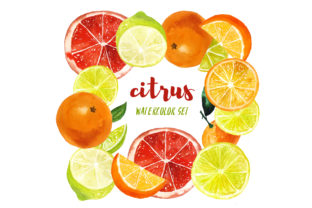Watercolor Citrus Fruits: Fresh Illustrations
