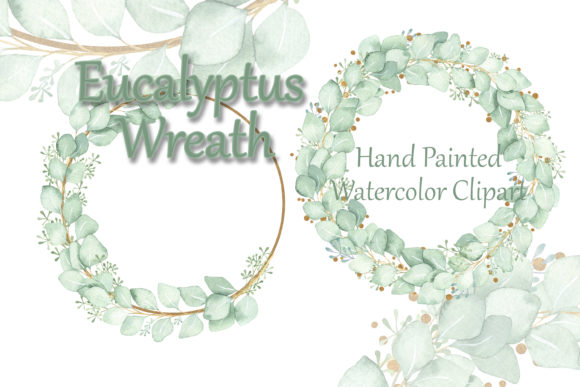 Watercolor Clipart Eucalyptus Wreath & Illustrations