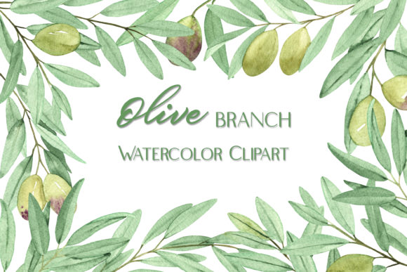 Watercolor Clipart Olive Branch & Illustrations