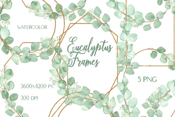 Watercolor Eucalyptus Golden Frames: Premium Illustrations