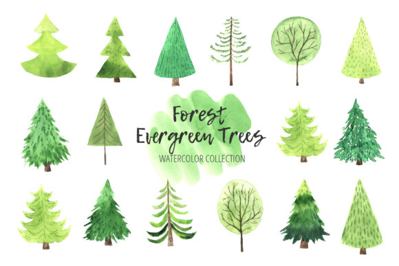 Watercolor Evergreen Trees Set Review
