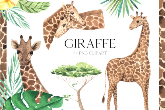 Watercolor Giraffe Clipart & Illustrations