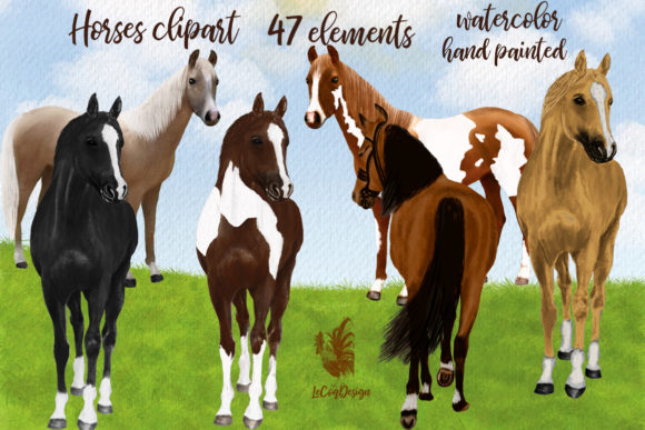 Watercolor Horse Clipart & Illustrations