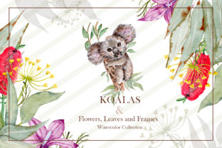 Watercolor Koala Collection Illustrations