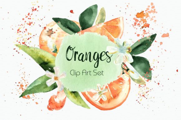 Watercolor Oranges Clipart Wreath: Illustrations