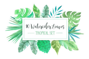 Watercolor Tropic Leaves Set: A Designer Review